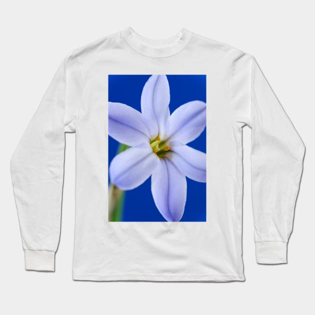 Ipheion  &#39;Rolf Fiedler&#39;  AGM  Spring starflower Long Sleeve T-Shirt by chrisburrows